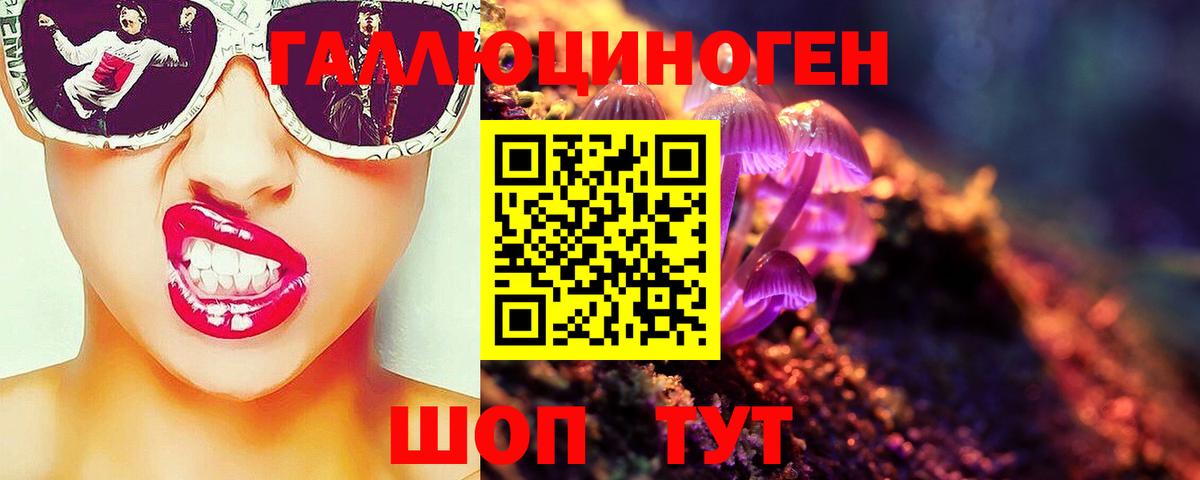 Псилоцибиновые грибы Psilocybine cubensis  Вход с VPN  Псилоцибиновые грибы GOLDEN TEACHER  Нижнекамск 