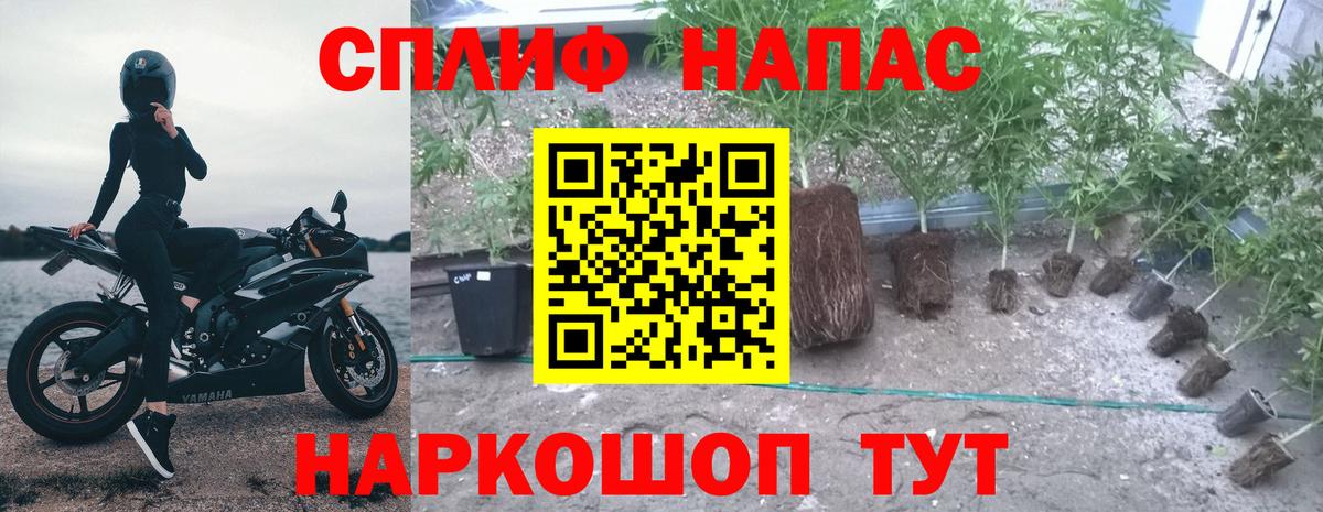 Канабис THC 21% Нижнекамск